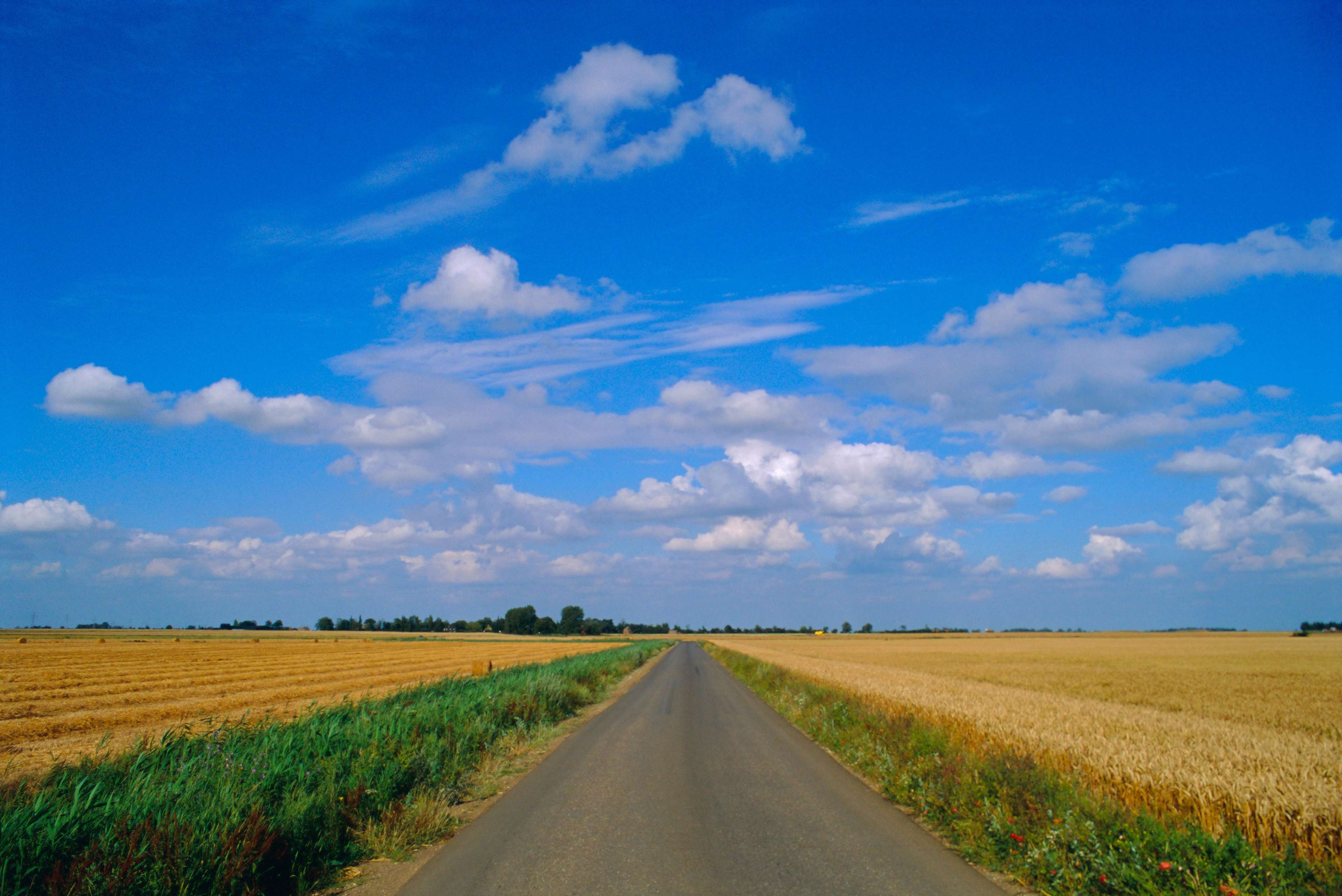 Scotland Scraps 50mph Plan for Rural Roads After Public Backlash; HGV Speed Limit Increase to Proceed