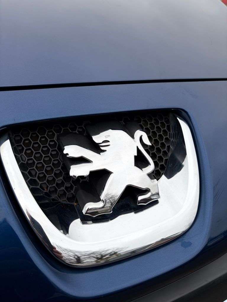 2007 PEUGEOT 308 2007 PEUGEOT 308