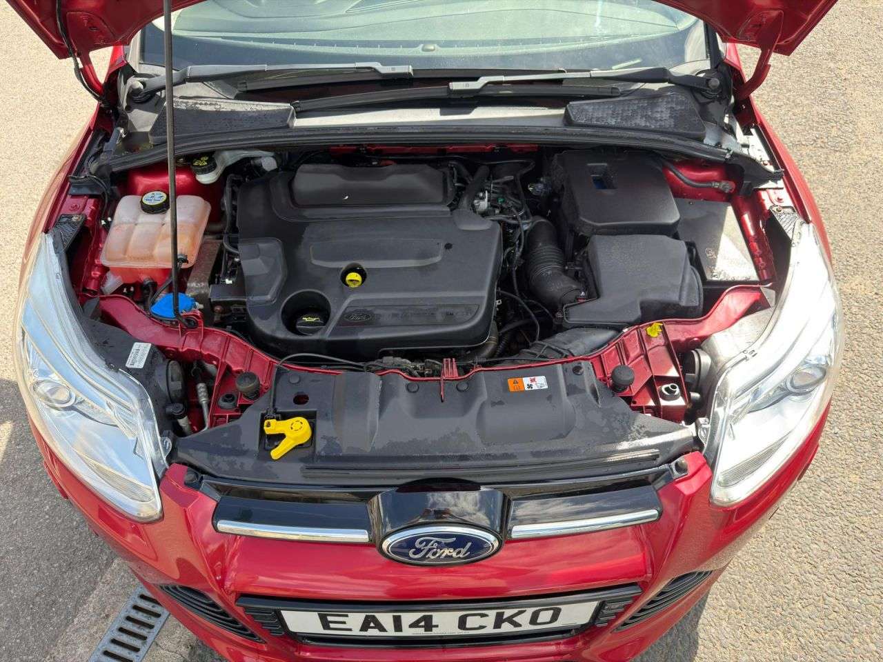 2014 FORD FOCUS 2014 FORD FOCUS