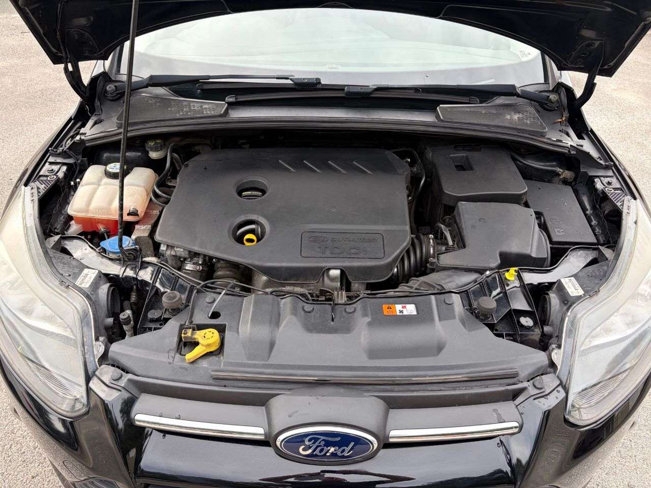2013 FORD FOCUS 2013 FORD FOCUS