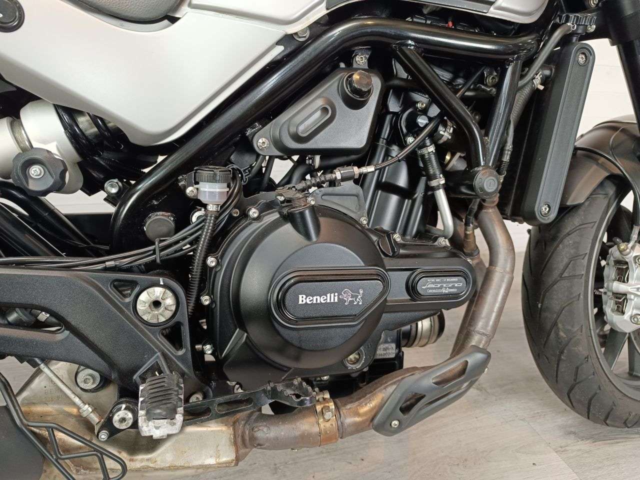 2021 BENELLI LEONCINO 500 2021 BENELLI LEONCINO 500