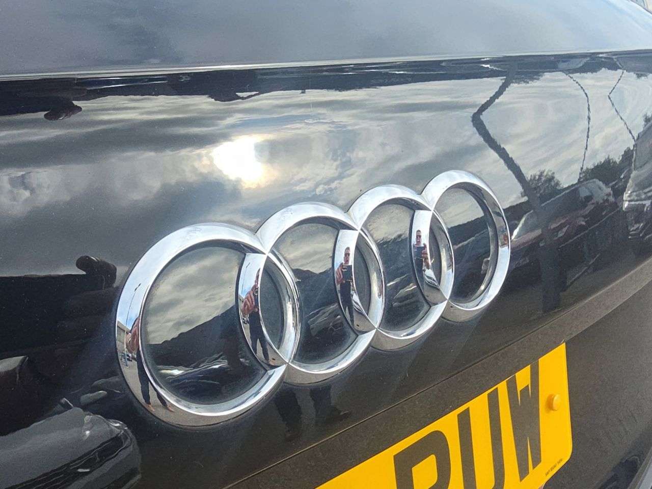 2019 AUDI Q5 2019 AUDI Q5