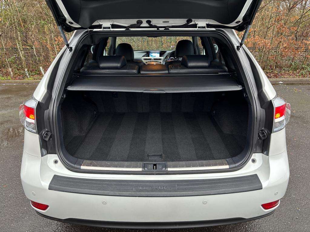 2013 LEXUS RX 2013 LEXUS RX