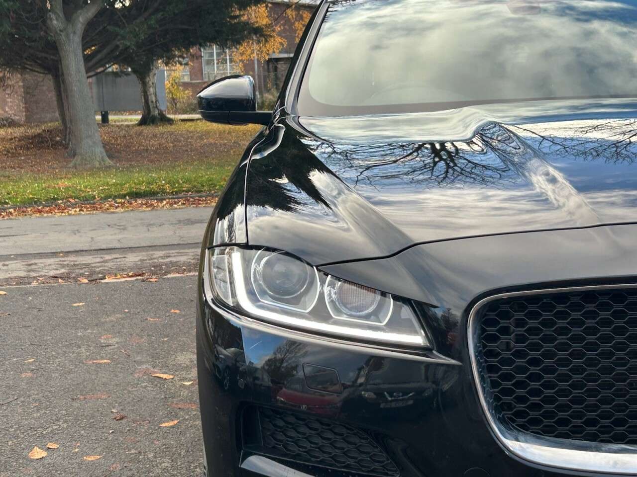 2019 JAGUAR F-PACE 2019 JAGUAR F-PACE