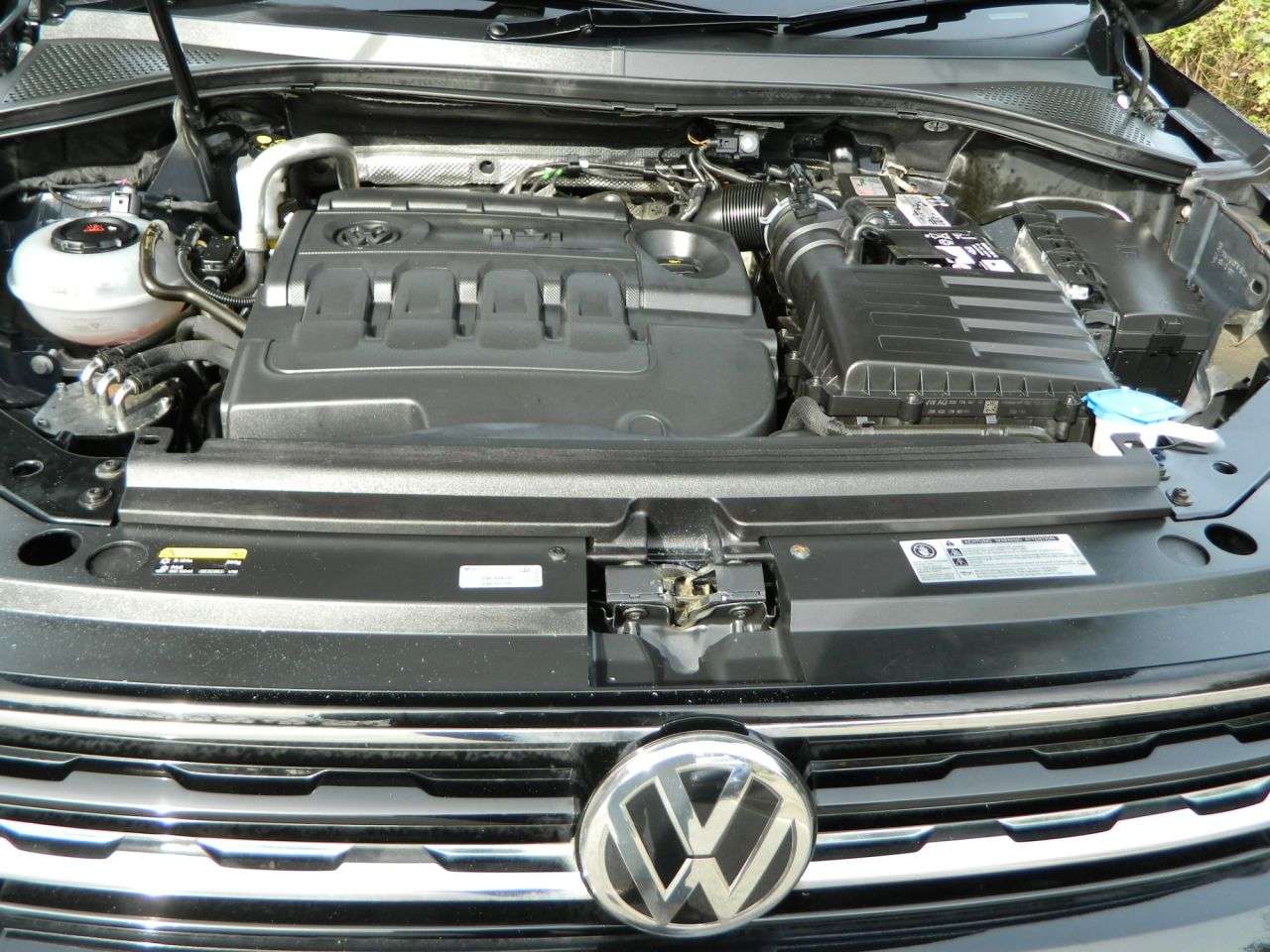 2017 VOLKSWAGEN TIGUAN 2017 VOLKSWAGEN TIGUAN