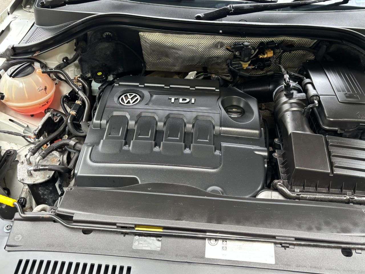 2016 VOLKSWAGEN TIGUAN 2016 VOLKSWAGEN TIGUAN