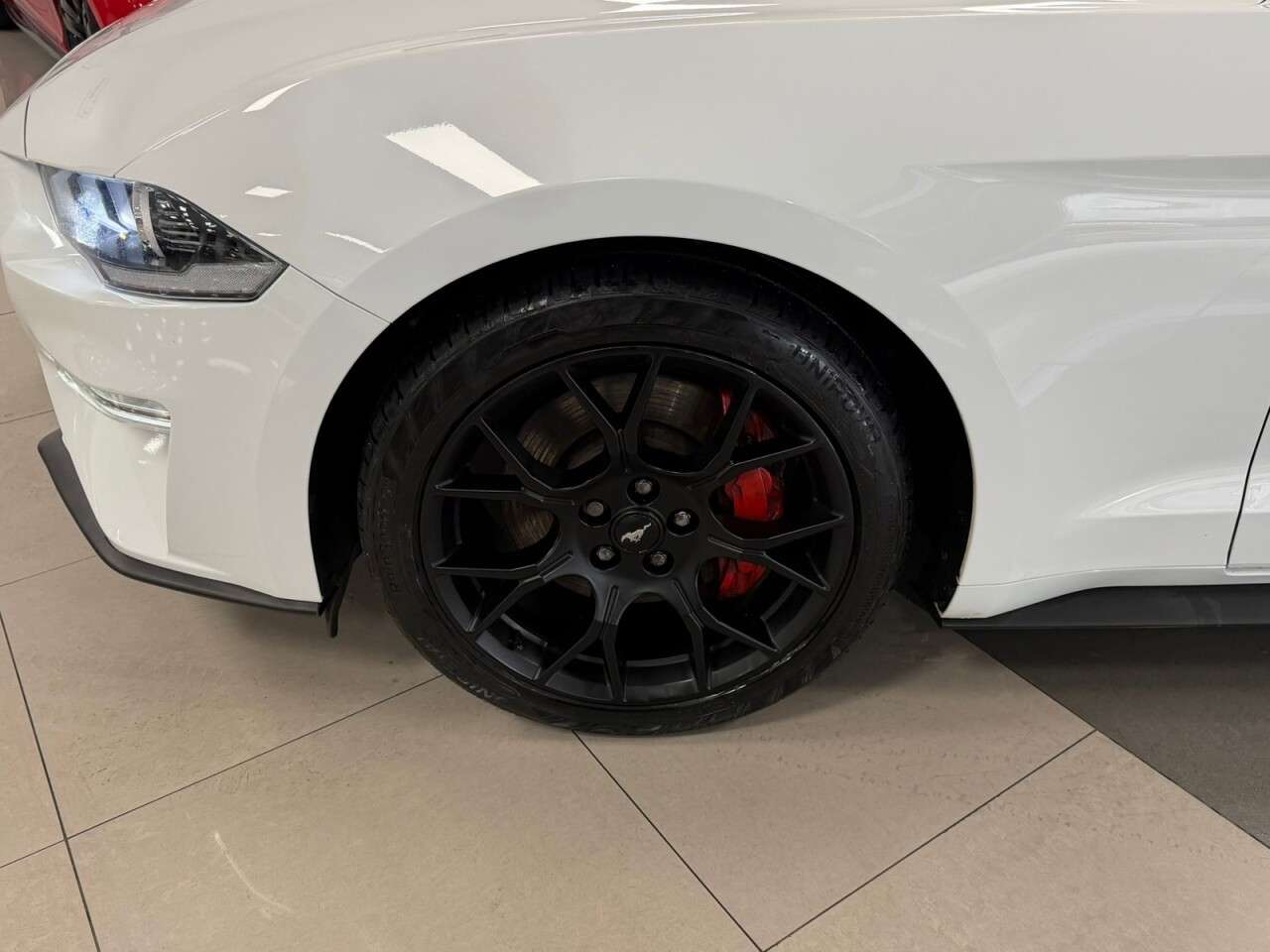 2019 FORD MUSTANG 2019 FORD MUSTANG