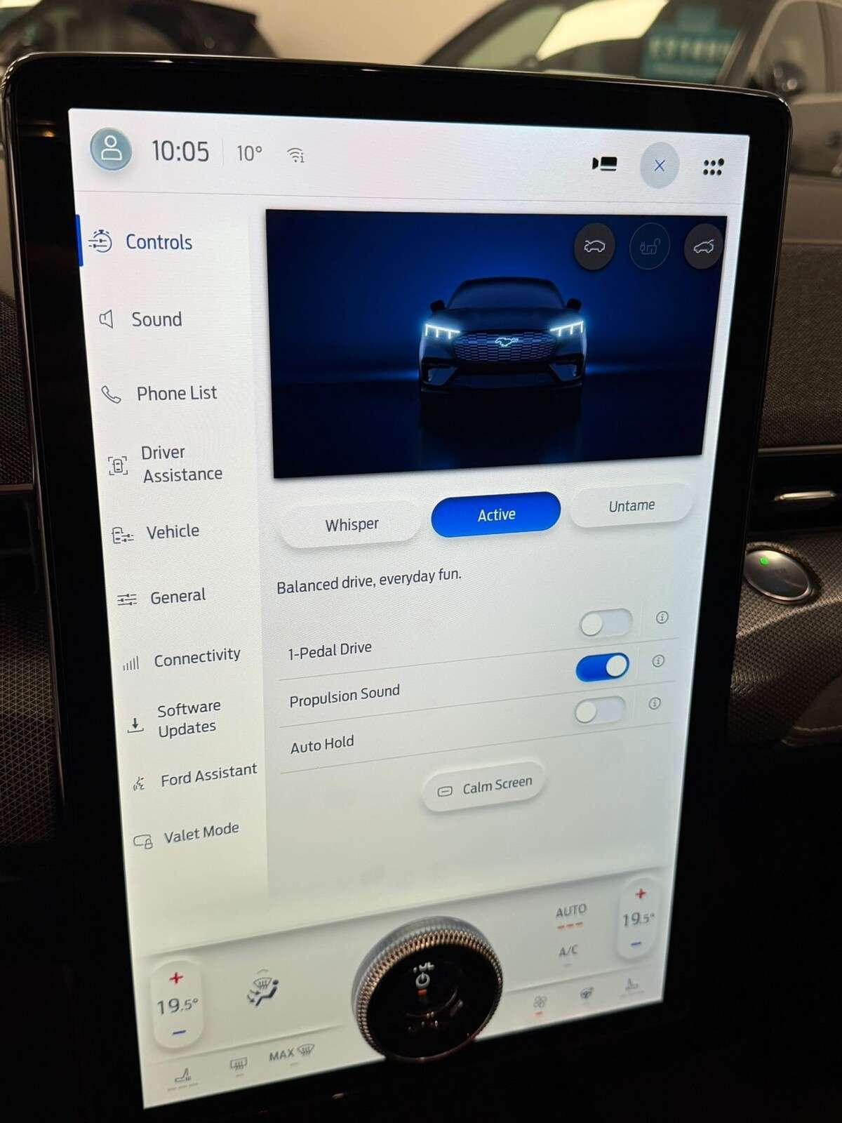 2021 FORD MUSTANG MACH-E 2021 FORD MUSTANG MACH-E