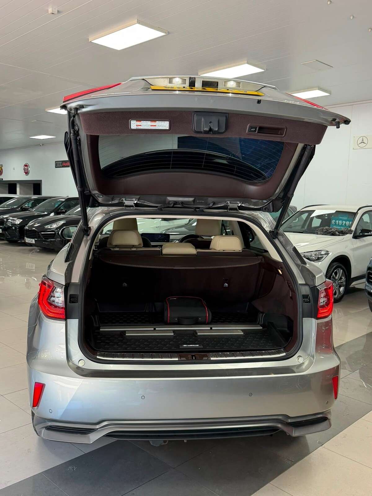 2019 LEXUS RX 2019 LEXUS RX