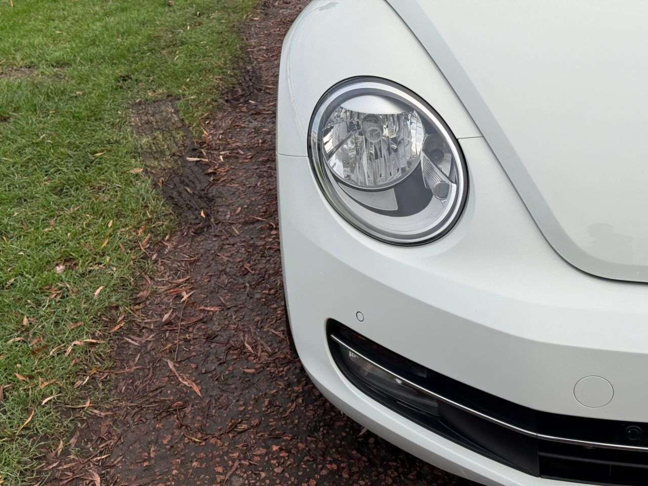 2014 VOLKSWAGEN BEETLE 2014 VOLKSWAGEN BEETLE