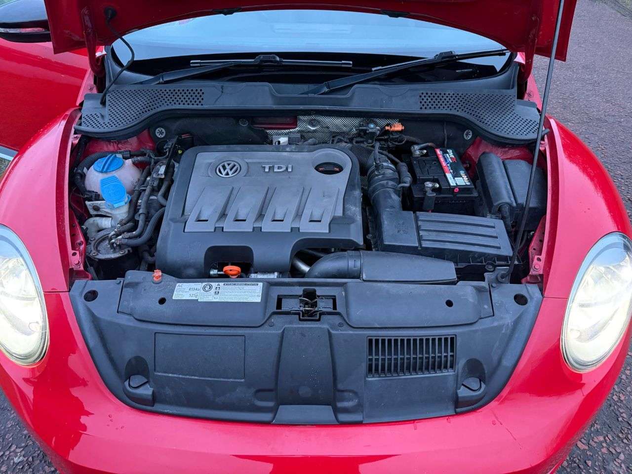 2013 VOLKSWAGEN BEETLE 2013 VOLKSWAGEN BEETLE