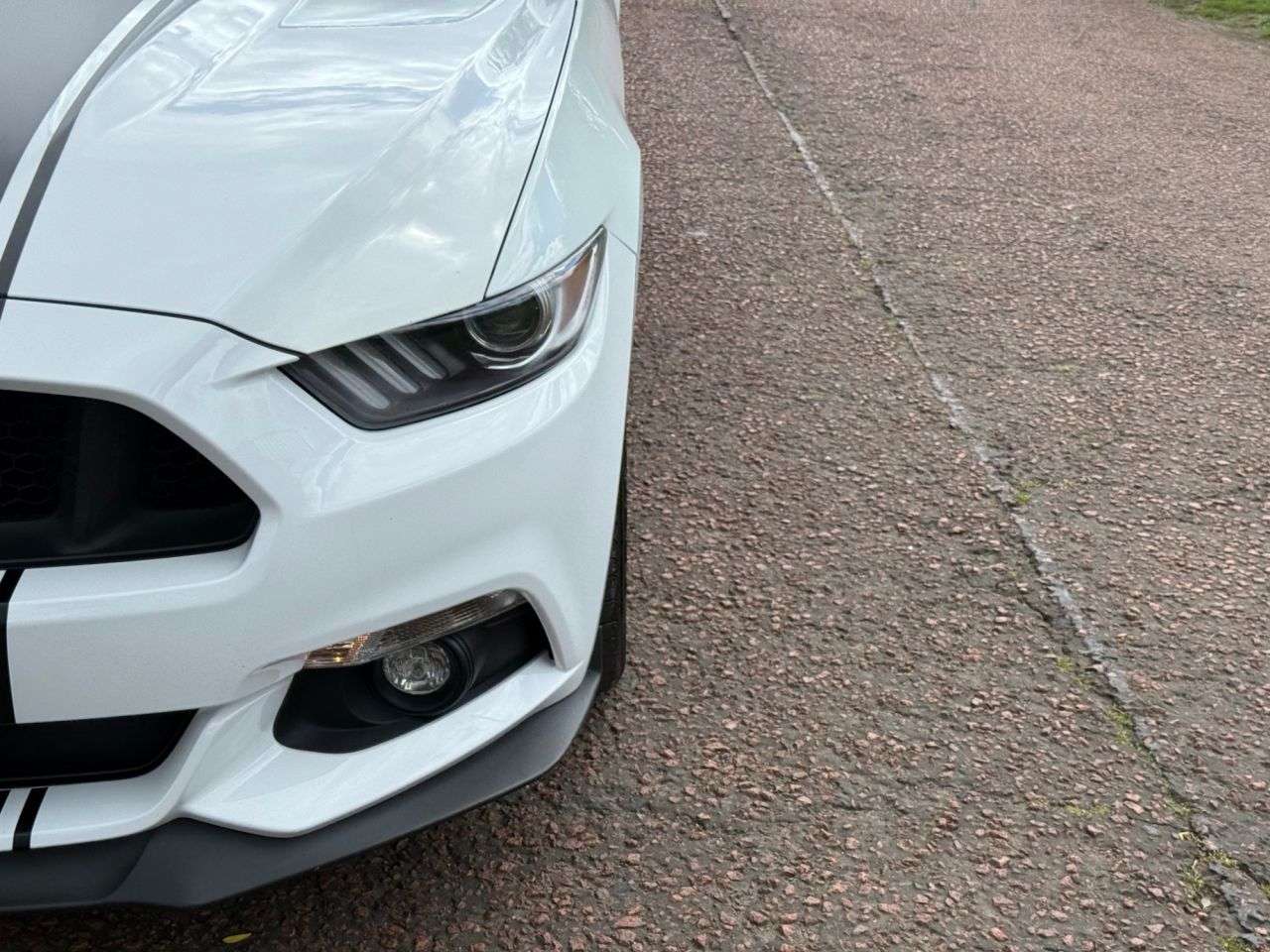 2017 FORD MUSTANG 2017 FORD MUSTANG