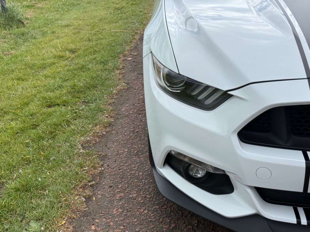 2017 FORD MUSTANG 2017 FORD MUSTANG