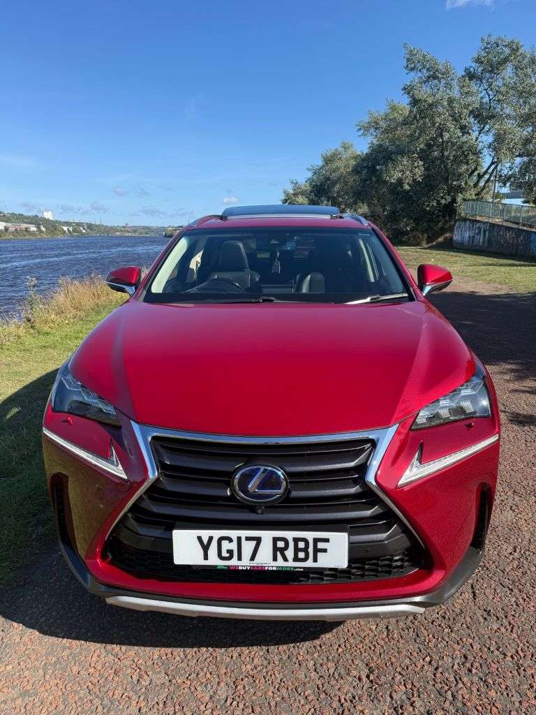 2017 LEXUS NX 300H 2017 LEXUS NX 300H