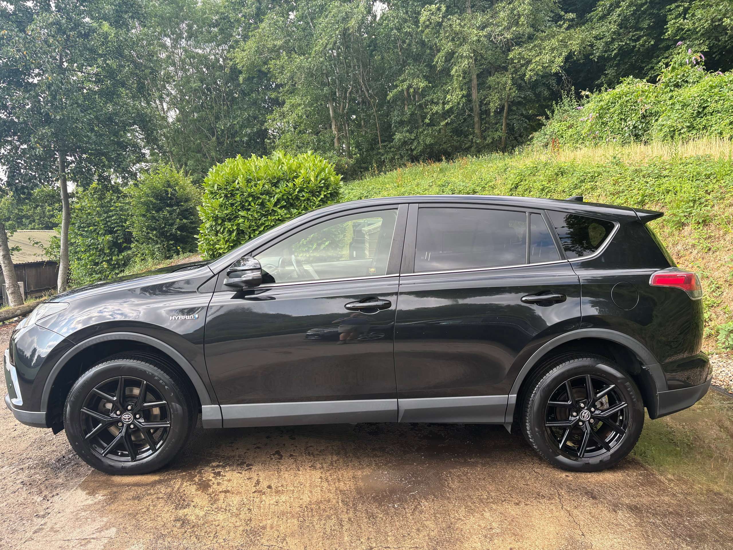 2017 TOYOTA RAV4 2017 TOYOTA RAV4