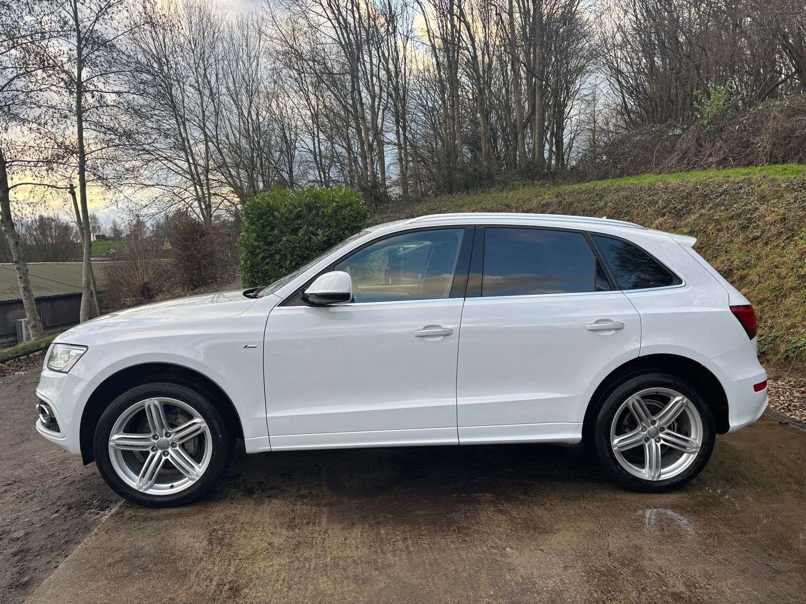 2015 AUDI Q5 2015 AUDI Q5