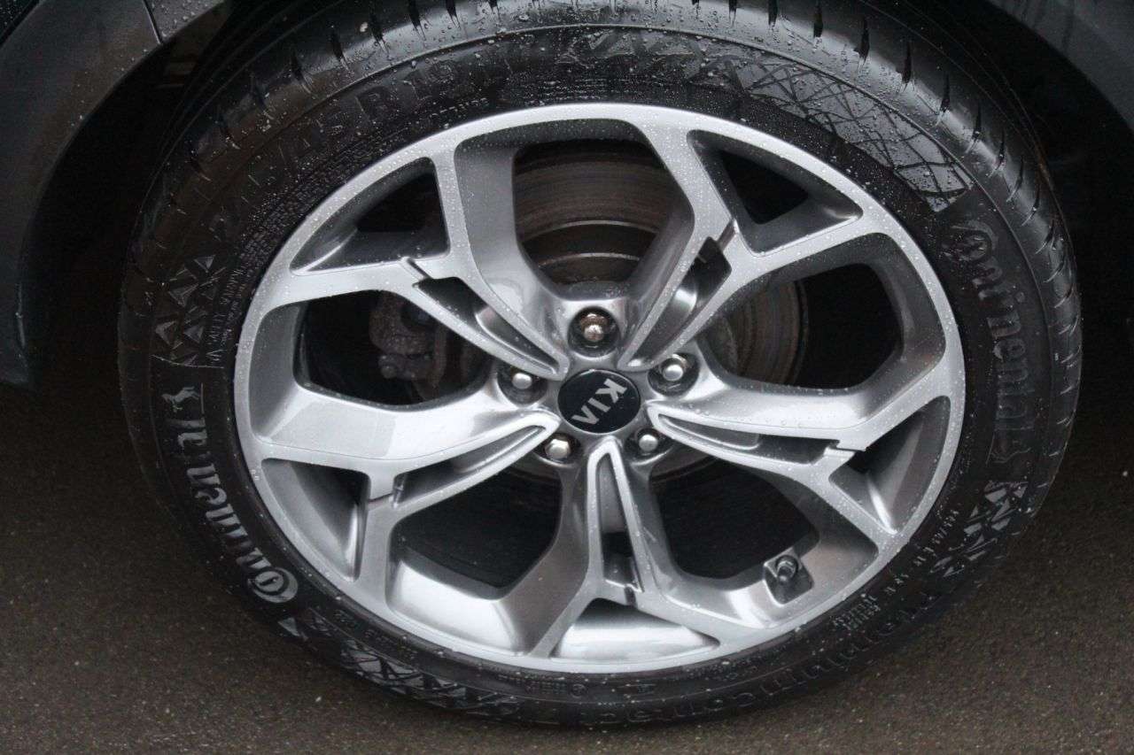 2019 KIA SPORTAGE 2019 KIA SPORTAGE