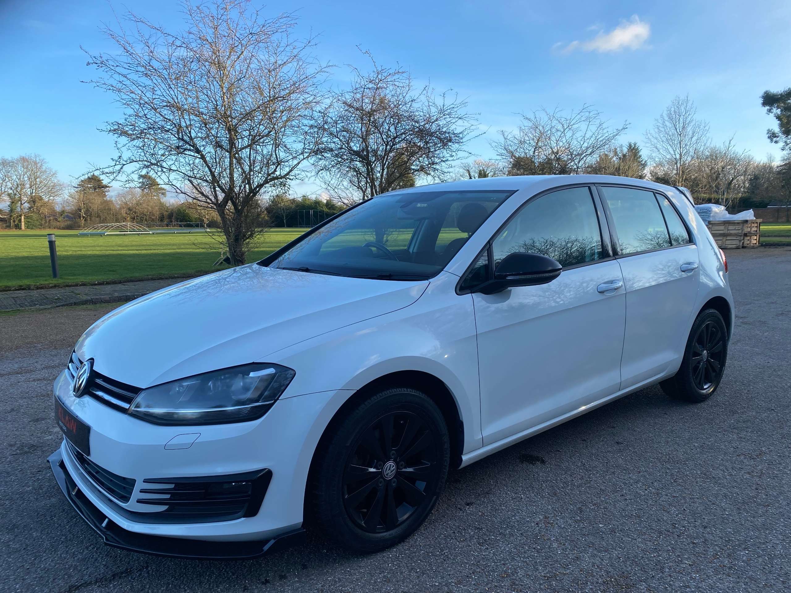 2013 VOLKSWAGEN GOLF 2013 VOLKSWAGEN GOLF