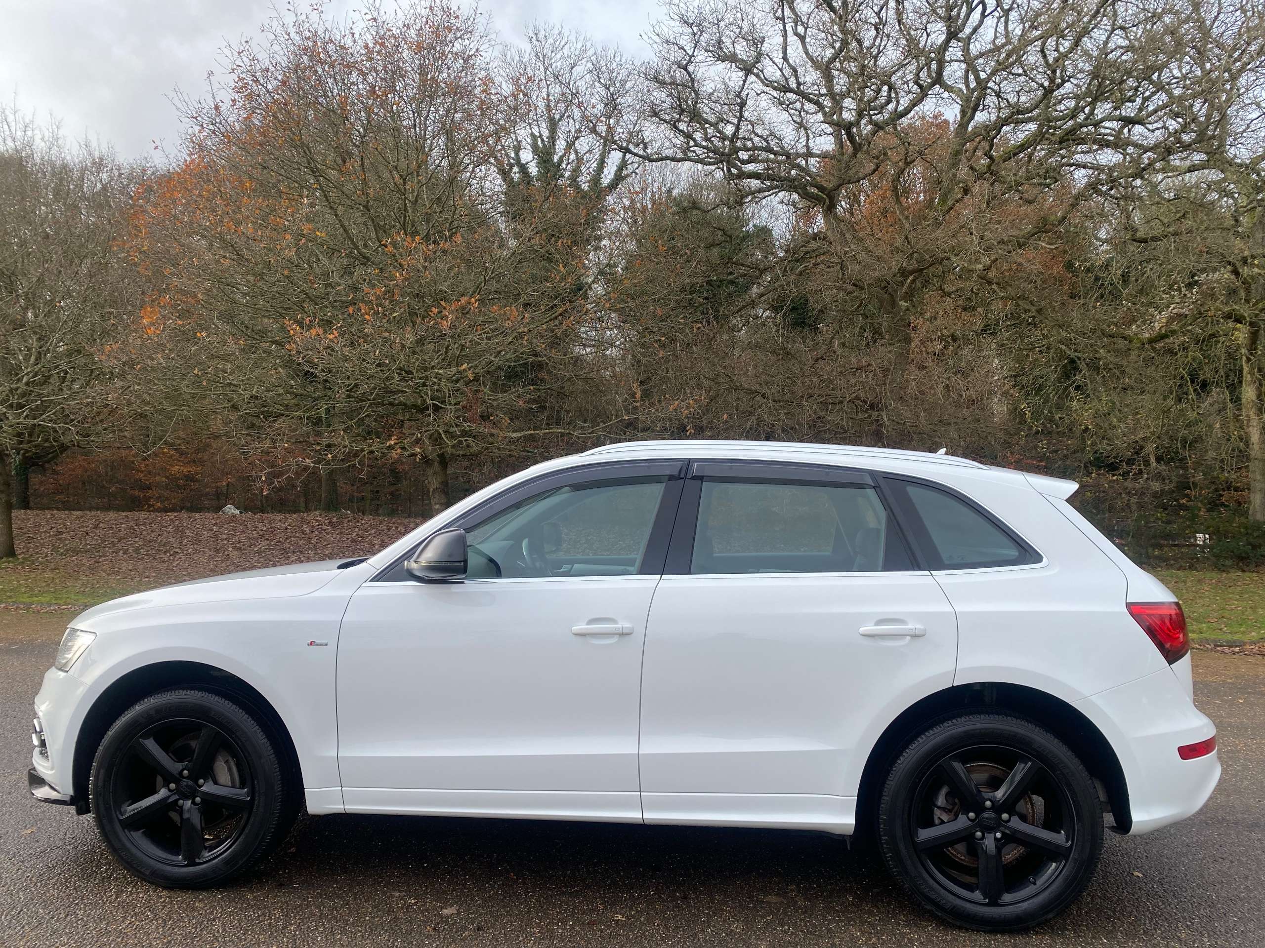 2013 AUDI Q5 2013 AUDI Q5