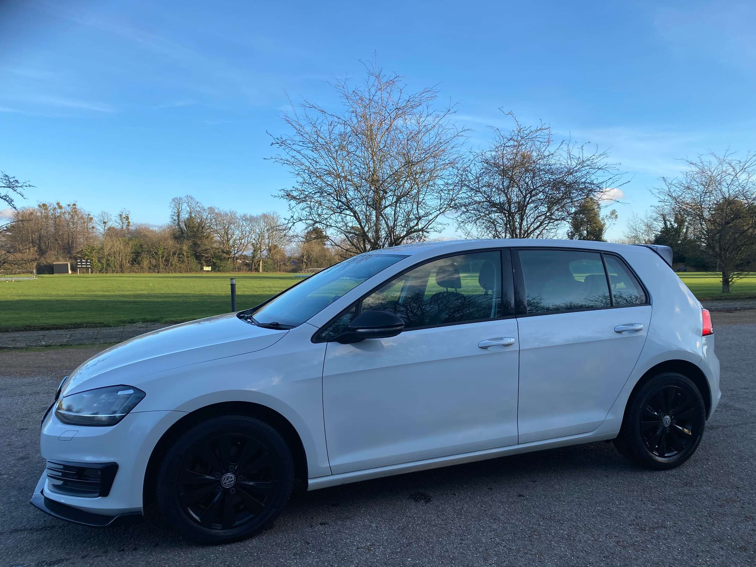 2013 VOLKSWAGEN GOLF 2013 VOLKSWAGEN GOLF