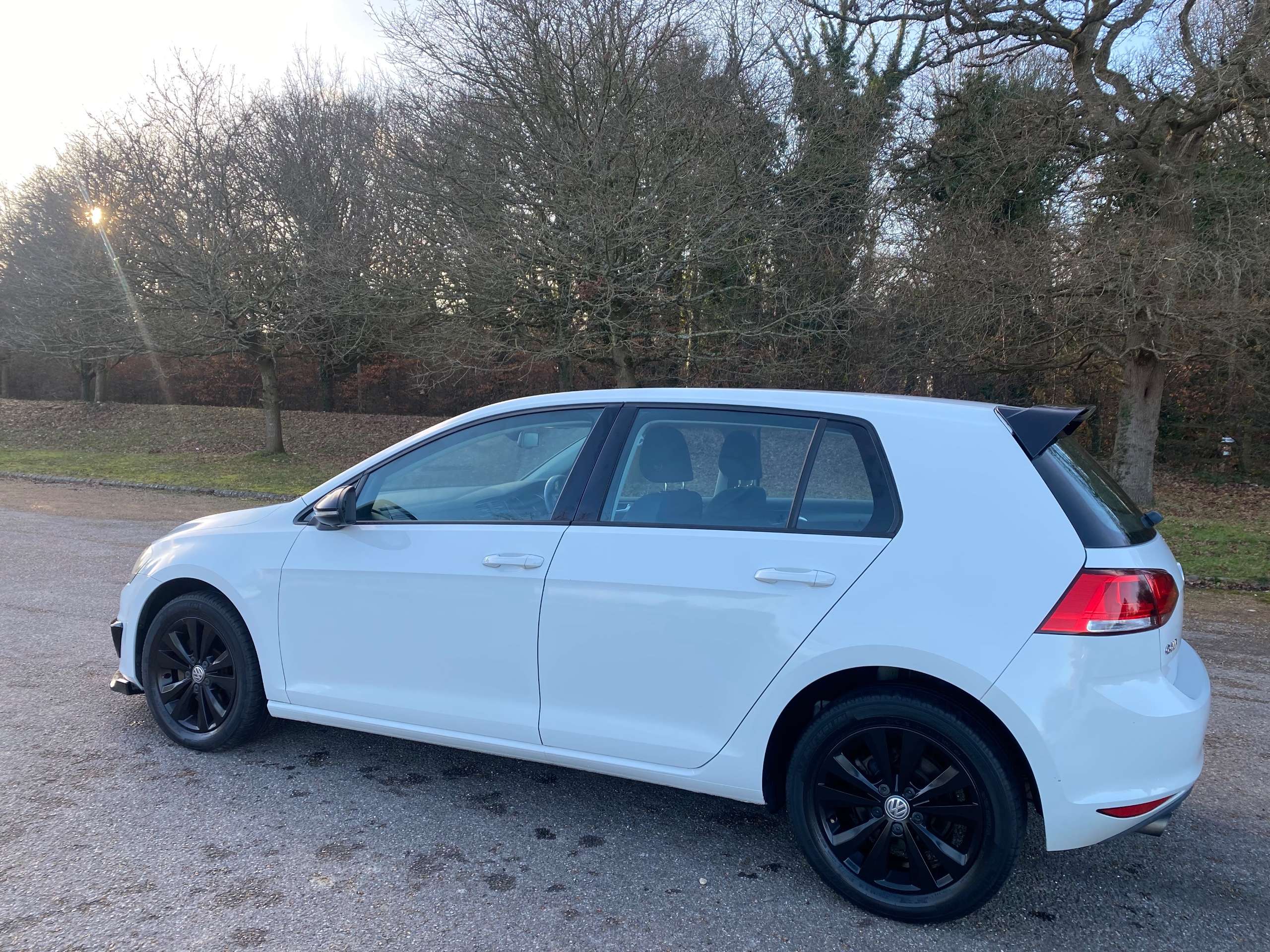 2013 VOLKSWAGEN GOLF 2013 VOLKSWAGEN GOLF