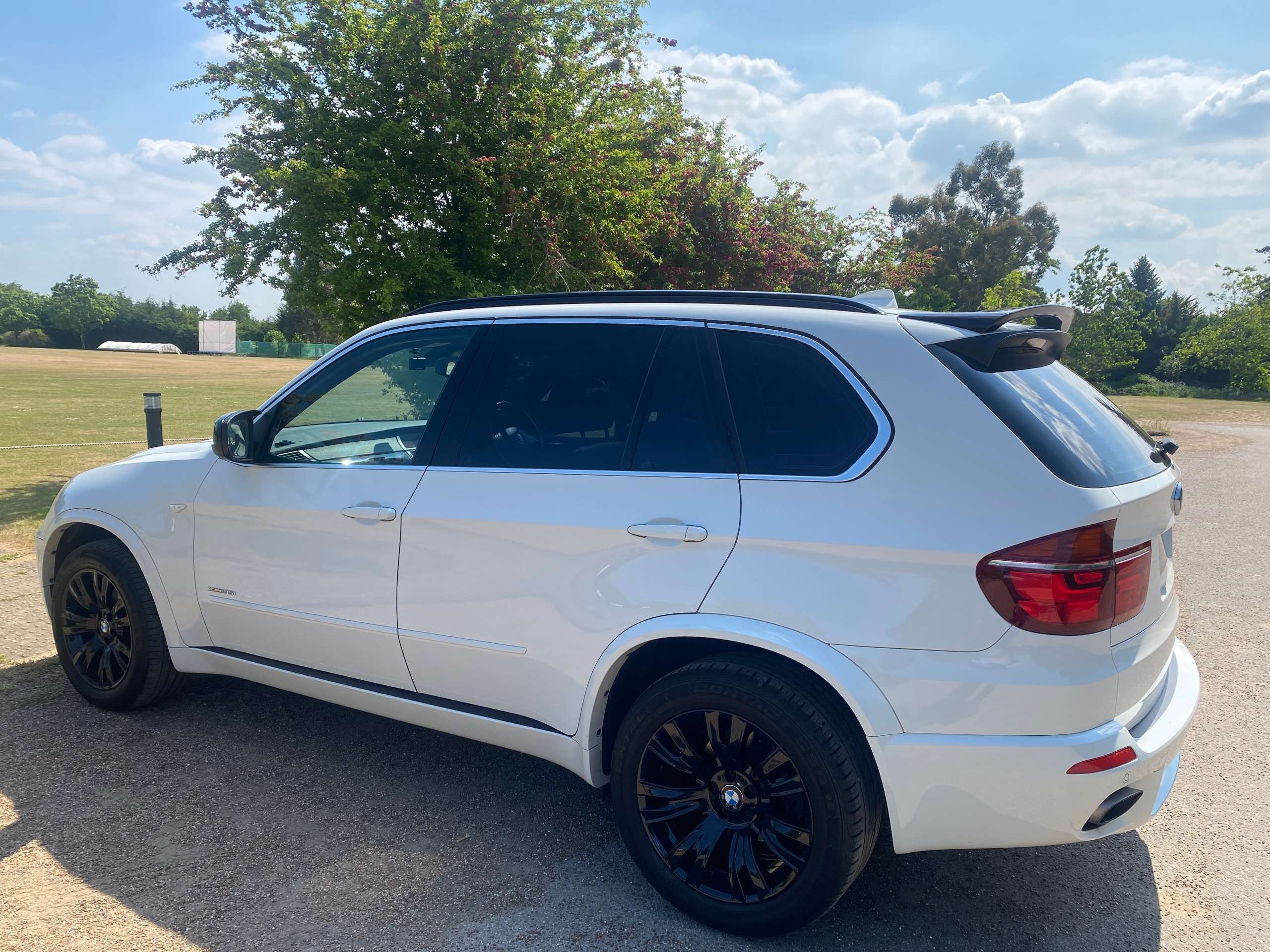 2011 BMW X5 2011 BMW X5