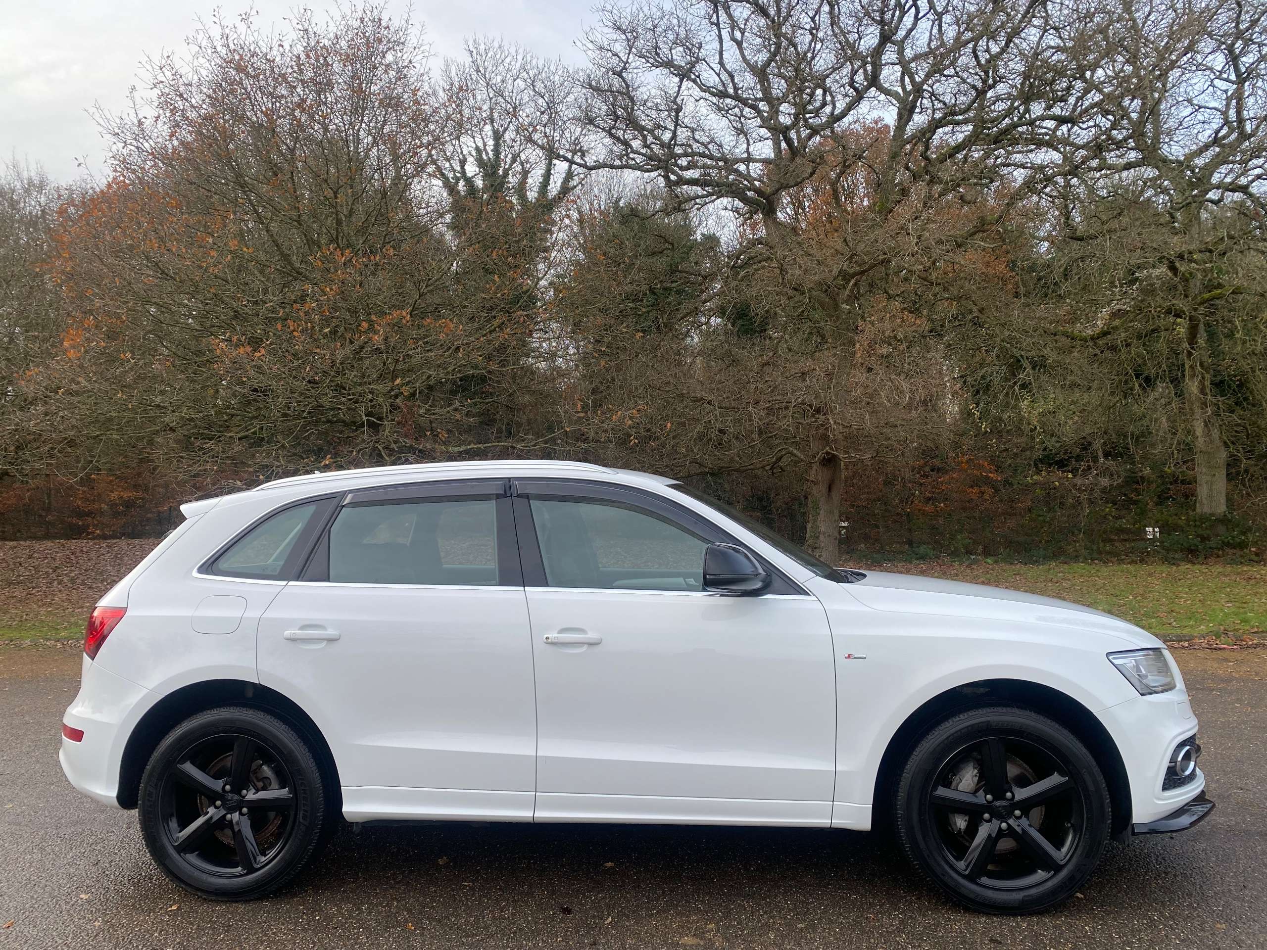 2013 AUDI Q5 2013 AUDI Q5