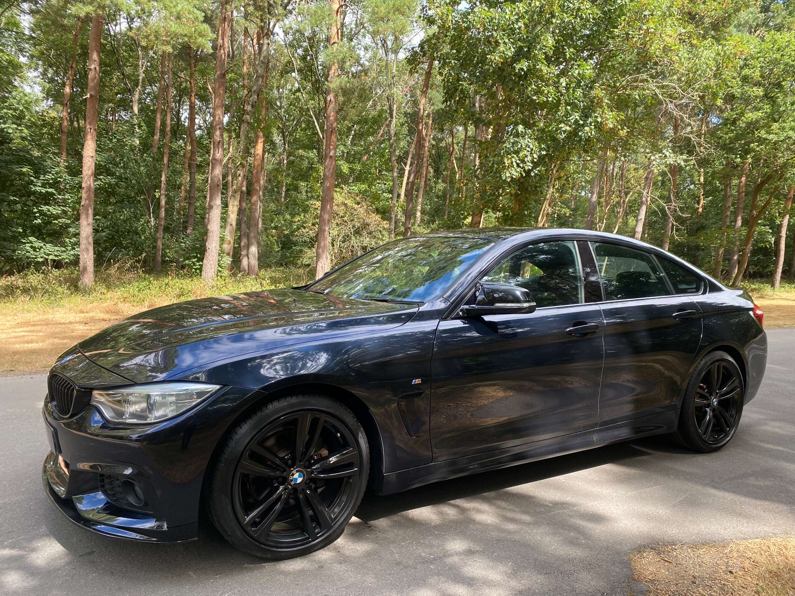 2014 BMW 4 SERIES GRAN COUPE 2014 BMW 4 SERIES GRAN COUPE