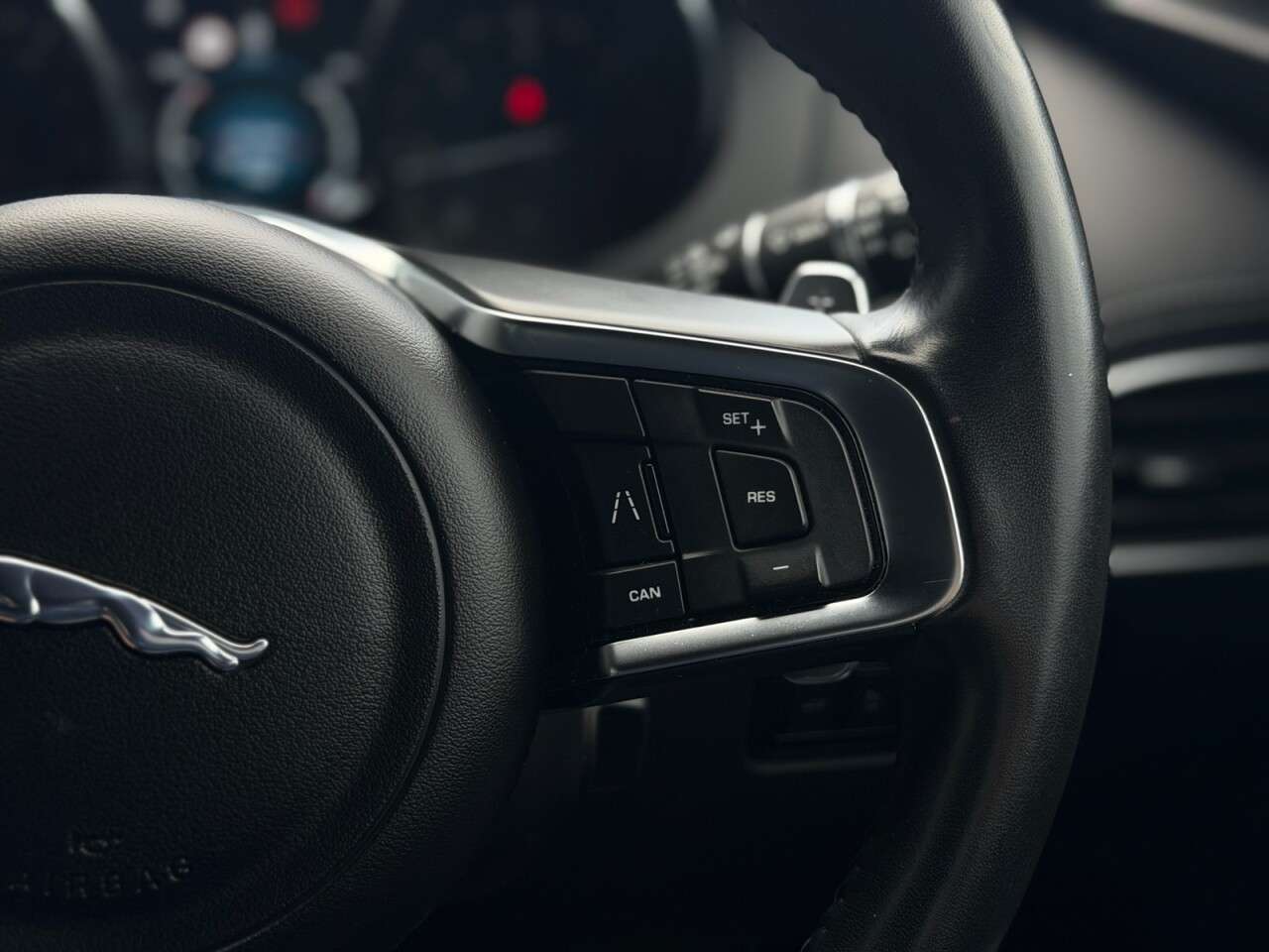 2019 JAGUAR F-PACE 2019 JAGUAR F-PACE