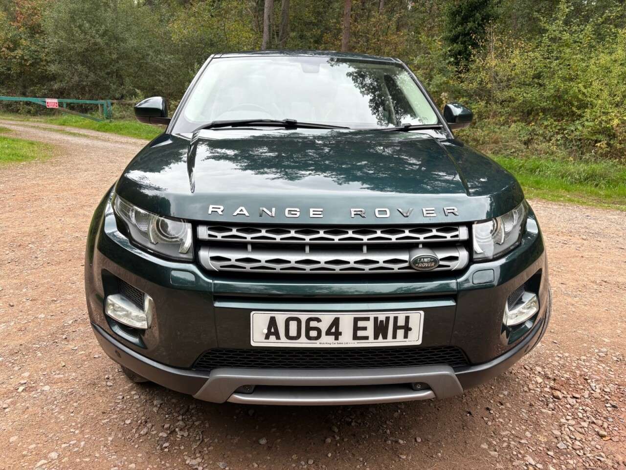 2014 LAND ROVER RANGE ROVER EVOQUE 2014 LAND ROVER RANGE ROVER EVOQUE