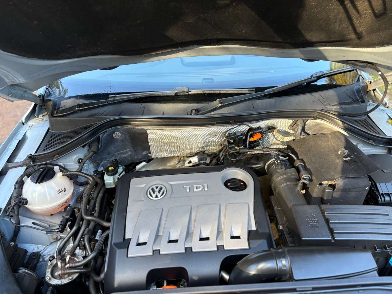 2010 VOLKSWAGEN TIGUAN 2010 VOLKSWAGEN TIGUAN