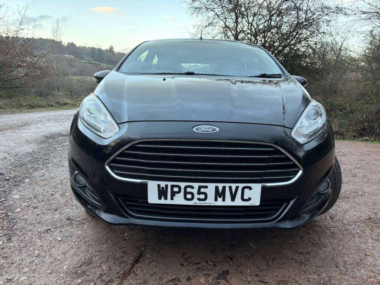 2015 FORD FIESTA 2015 FORD FIESTA