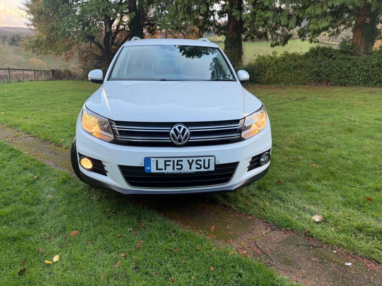 2015 VOLKSWAGEN TIGUAN 2015 VOLKSWAGEN TIGUAN