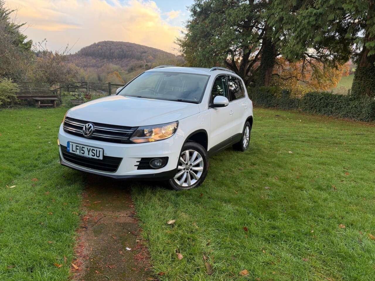 2015 VOLKSWAGEN TIGUAN 2015 VOLKSWAGEN TIGUAN