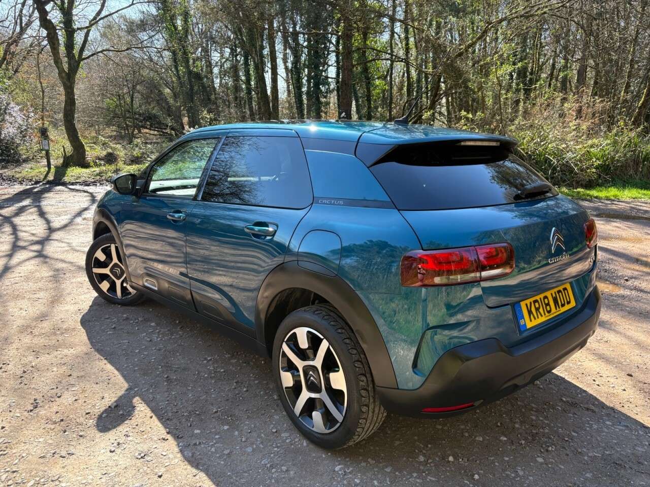 2018 CITROEN C4 CACTUS 2018 CITROEN C4 CACTUS