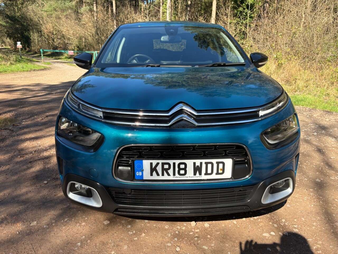 2018 CITROEN C4 CACTUS 2018 CITROEN C4 CACTUS