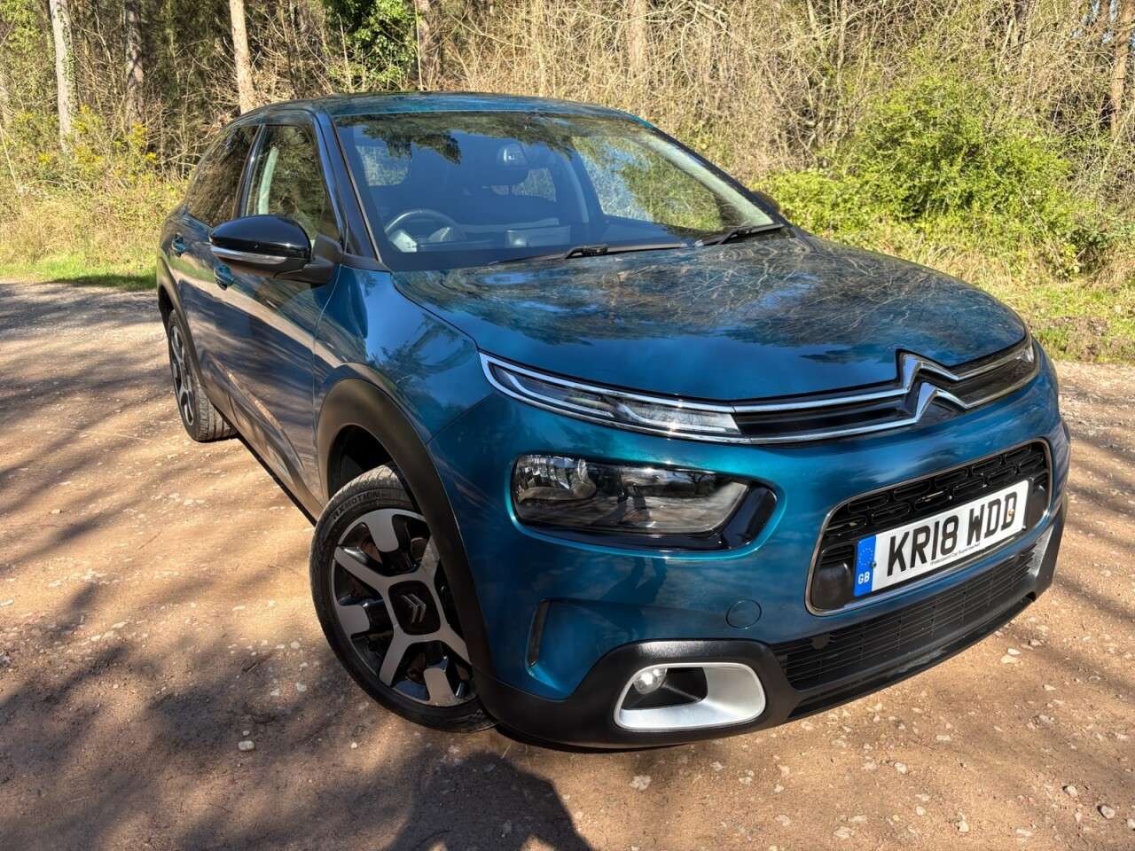 2018 CITROEN C4 CACTUS 2018 CITROEN C4 CACTUS