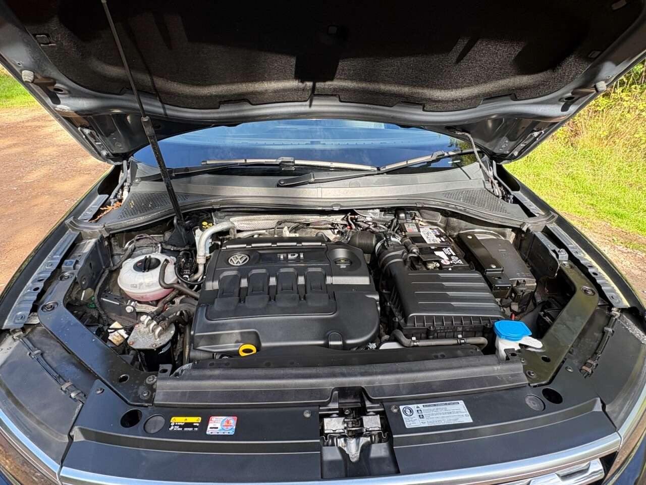 2016 VOLKSWAGEN TIGUAN 2016 VOLKSWAGEN TIGUAN